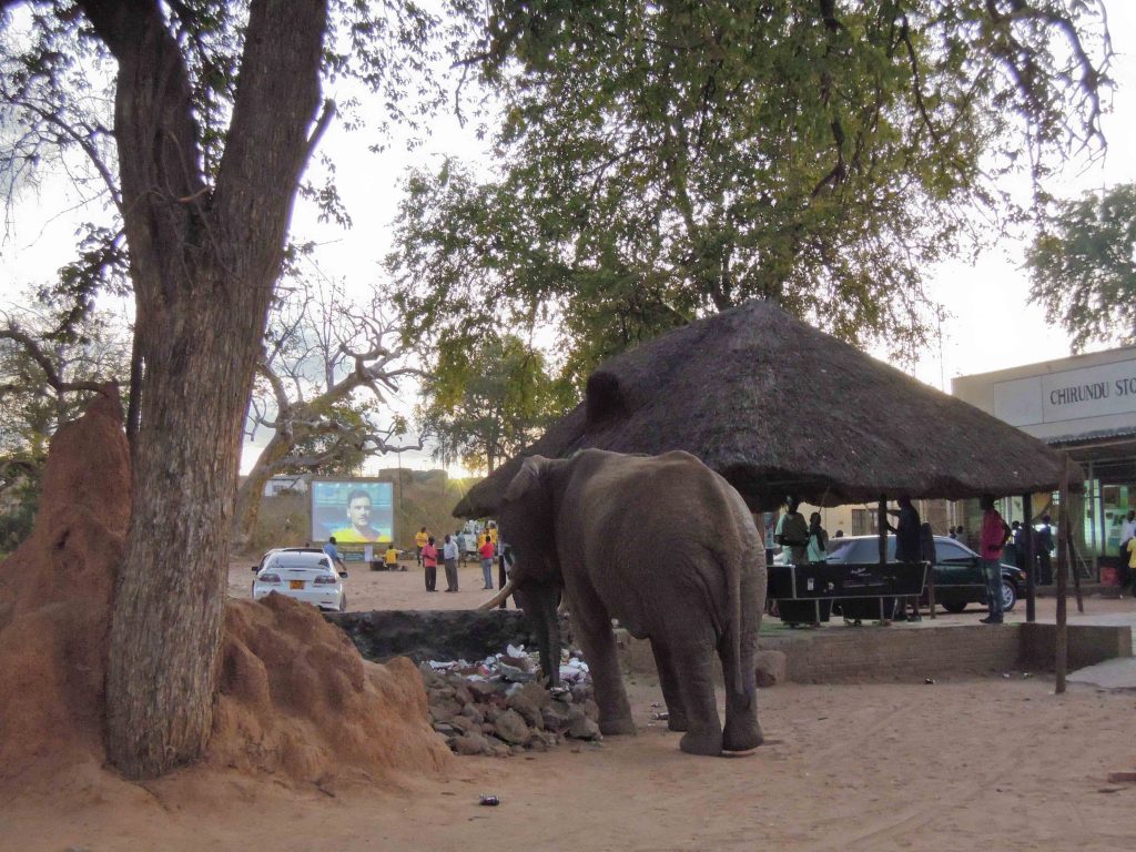 Day 23 – Chirundu…Elephants and Truck Drivers at the Border Crossing
